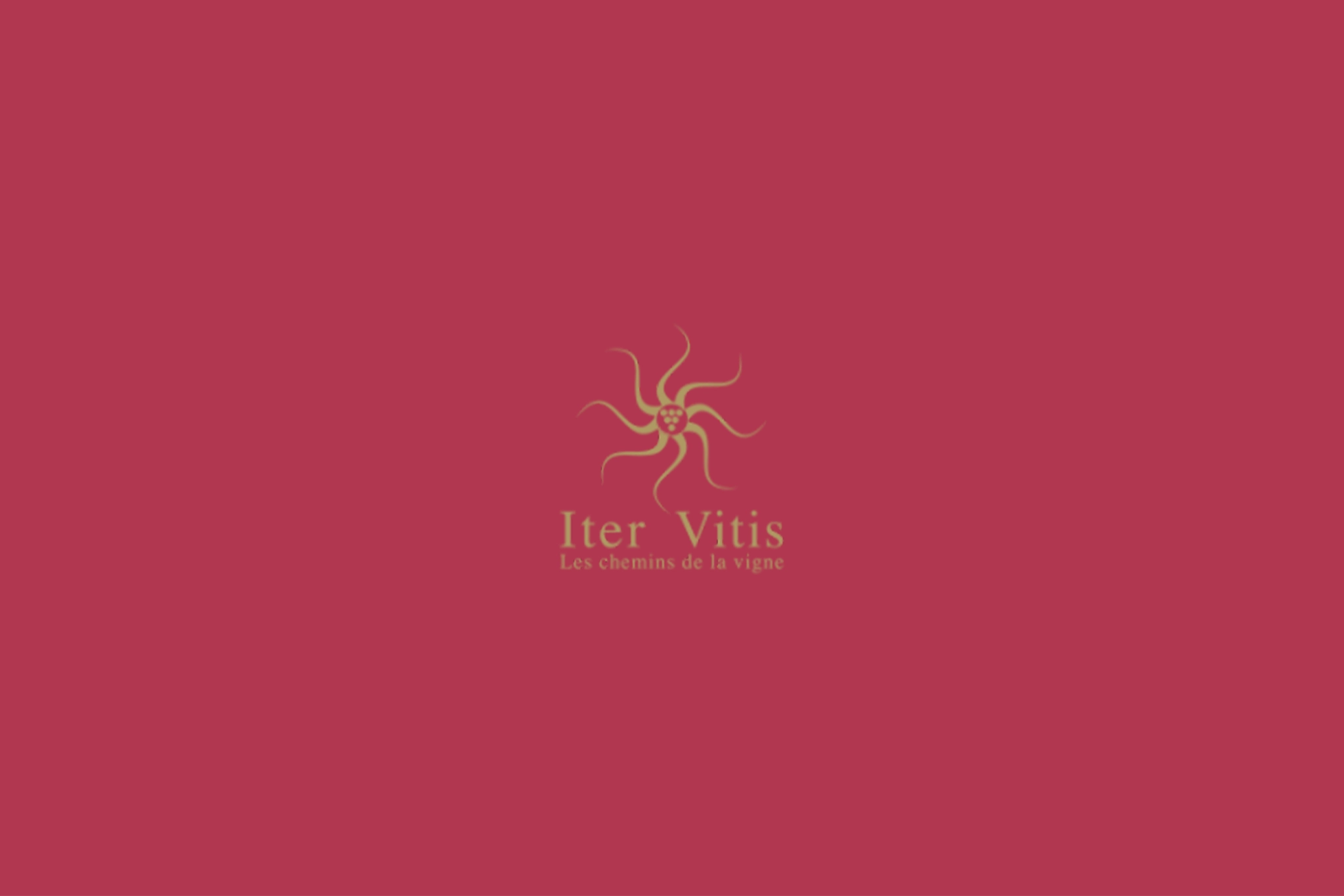 Logo Iter Vitis
